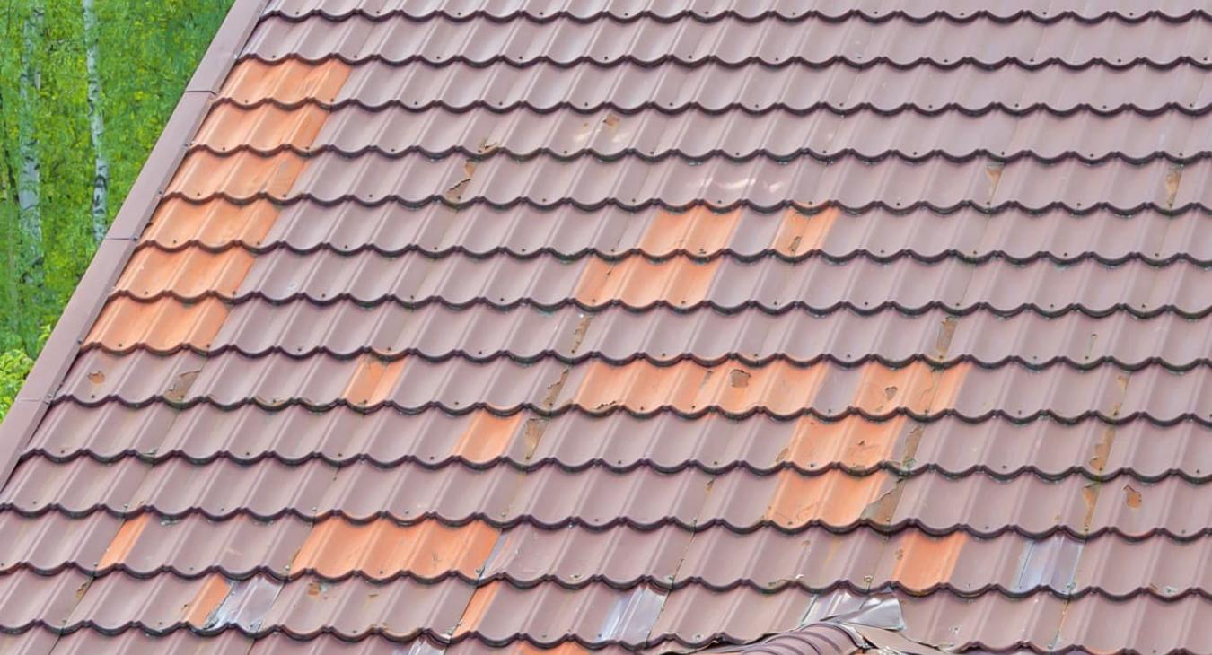 Nettoyage de toiture, Peinture & Hydrofugation de toit 32 Gers