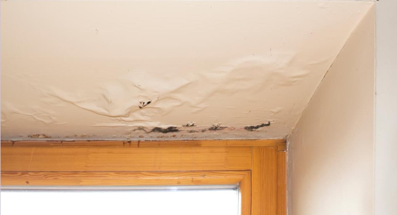 Étanchéité & Recherche de fuite de toit 32 Gers