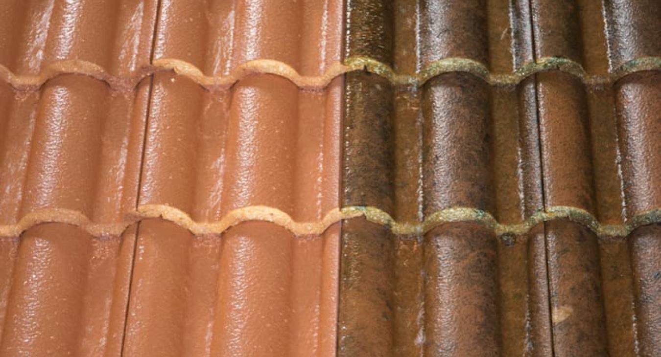 Nettoyage de toiture, Peinture & Hydrofugation de toit 32 Gers